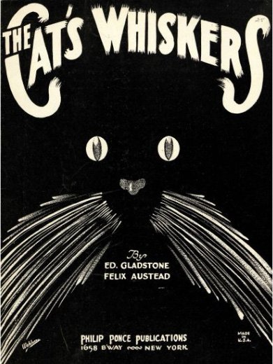 "The Cat's Whiskers" 1923 sheet music cover